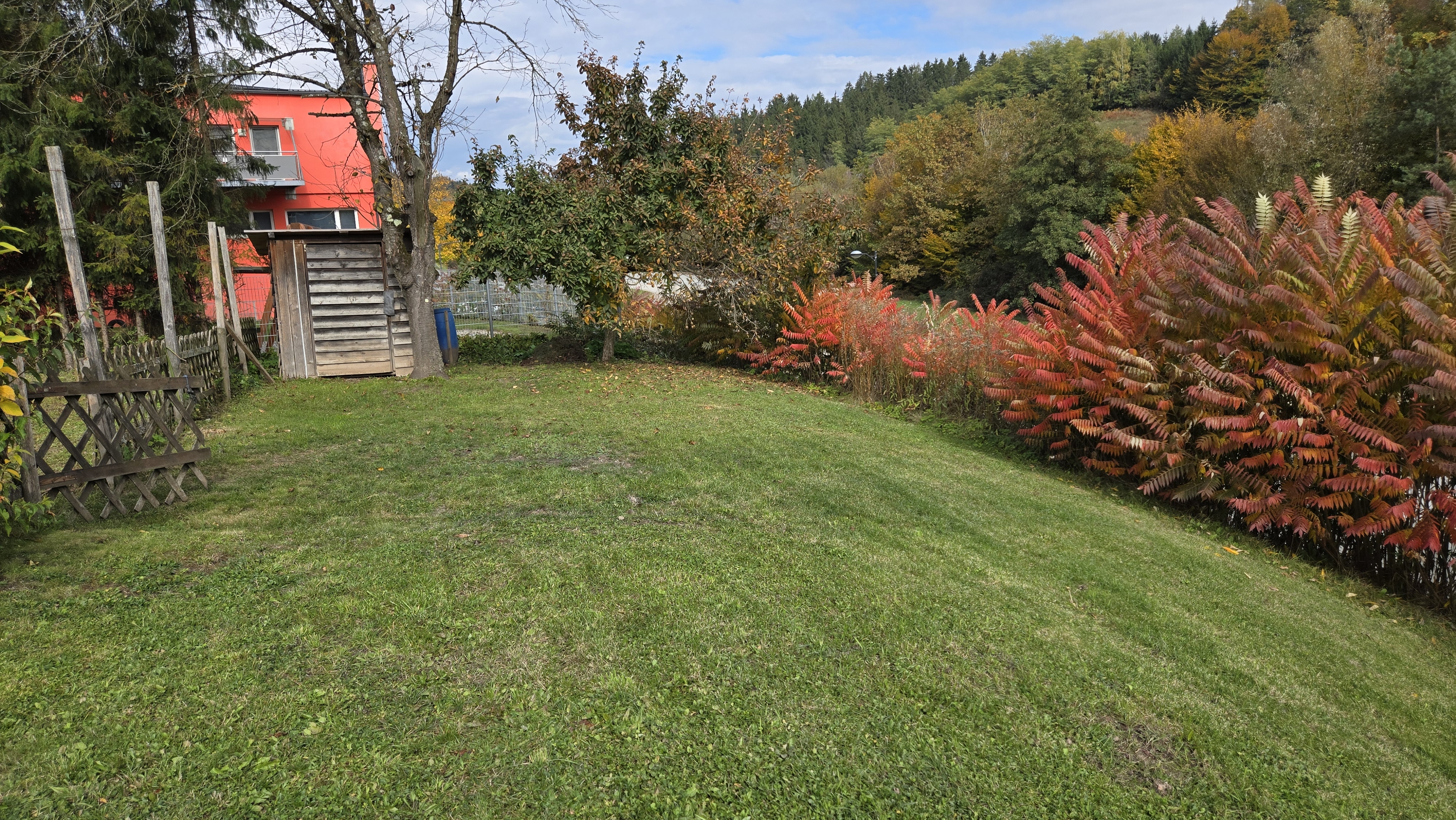 Schulgarten Steyeregg zu verpachten 2