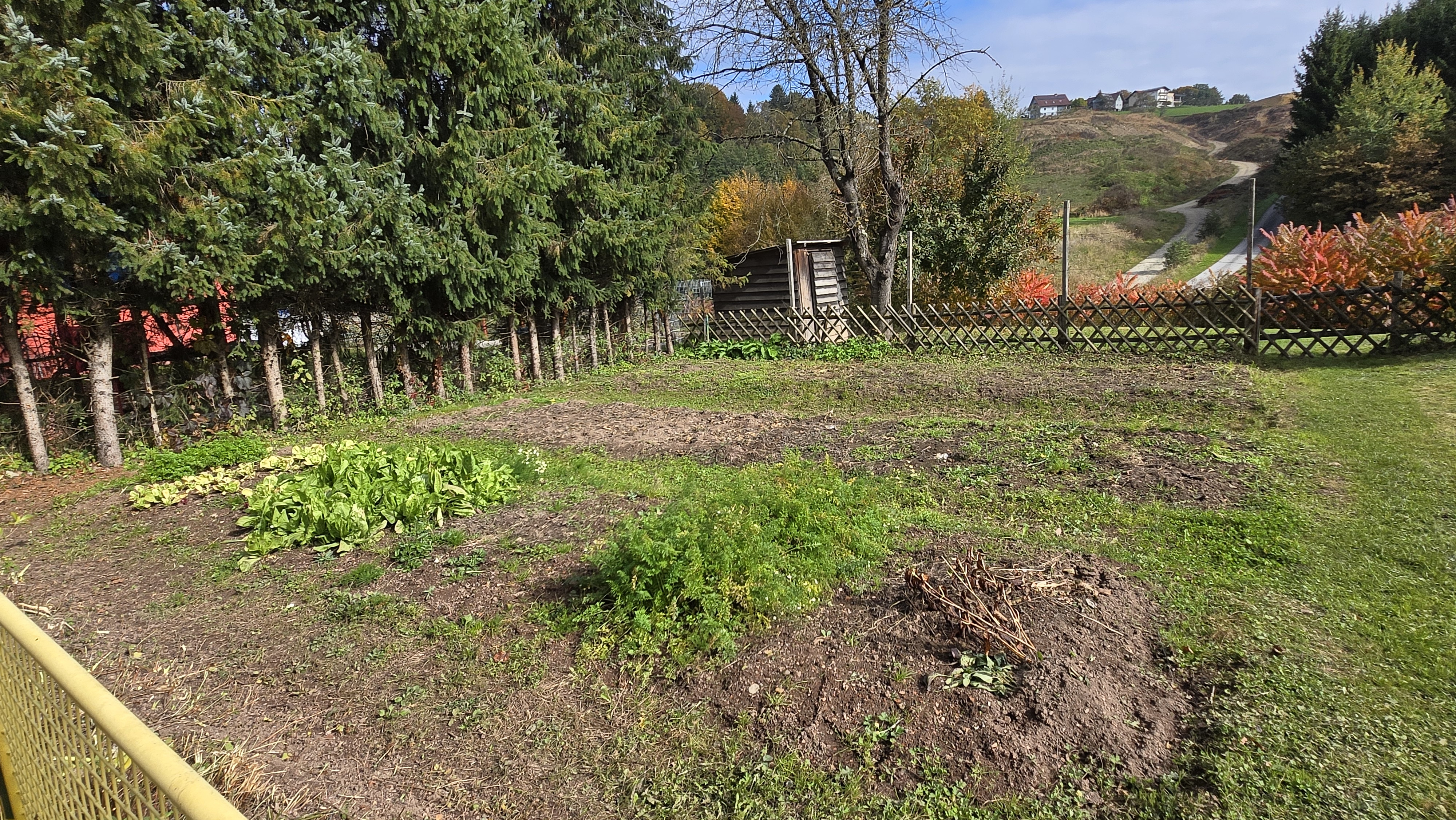 Schulgarten Steyeregg zu verpachten 4