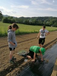 Kinder GR Alles fur die Herbstdeko 2022 07