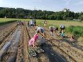 Kinder GR Alles fur die Herbstdeko 2022 10