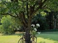 blumenschmuckfahrt 2025